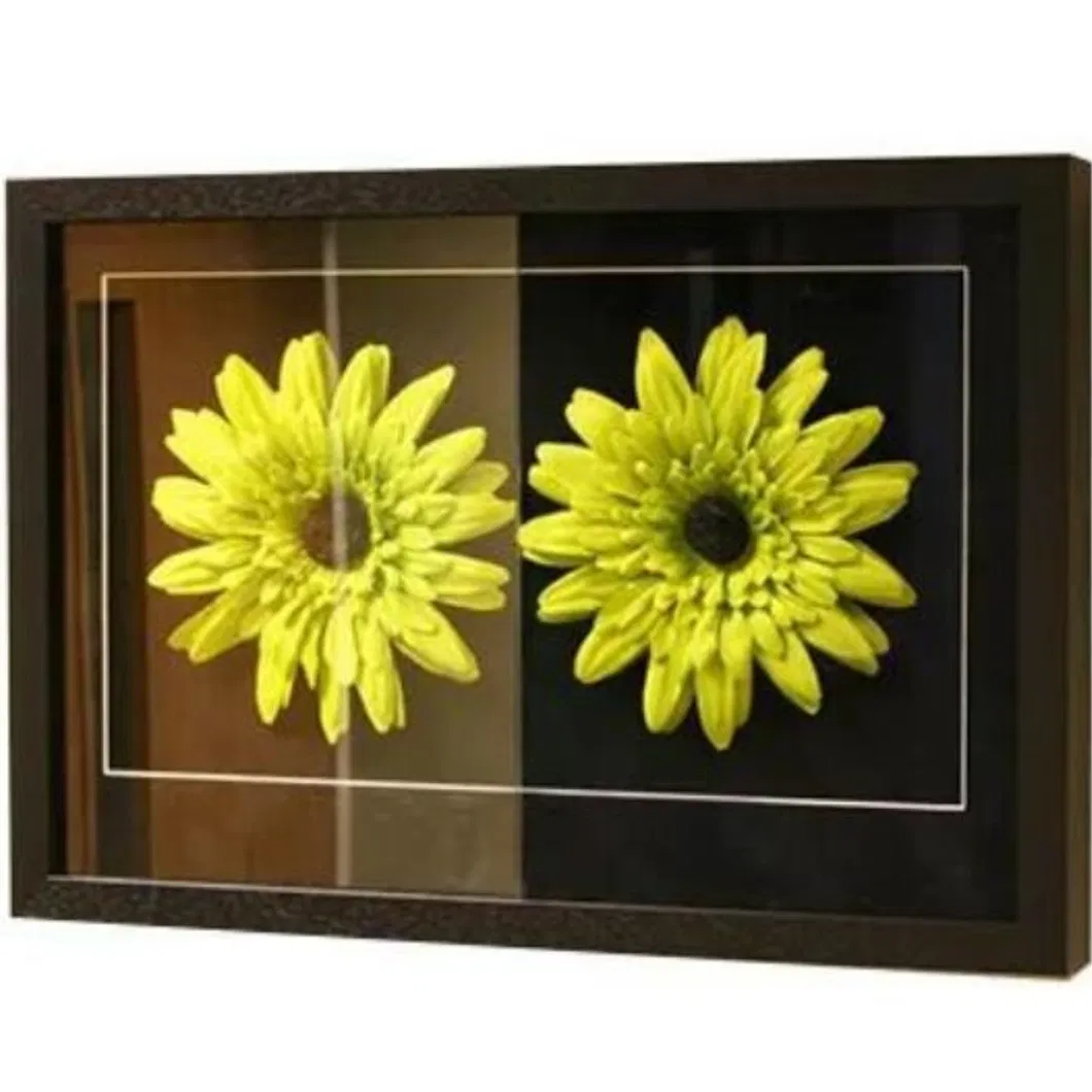 AG de 1 mm-8 mm Glass esbelto de vidrio no reflectante para la galer&iacute;a