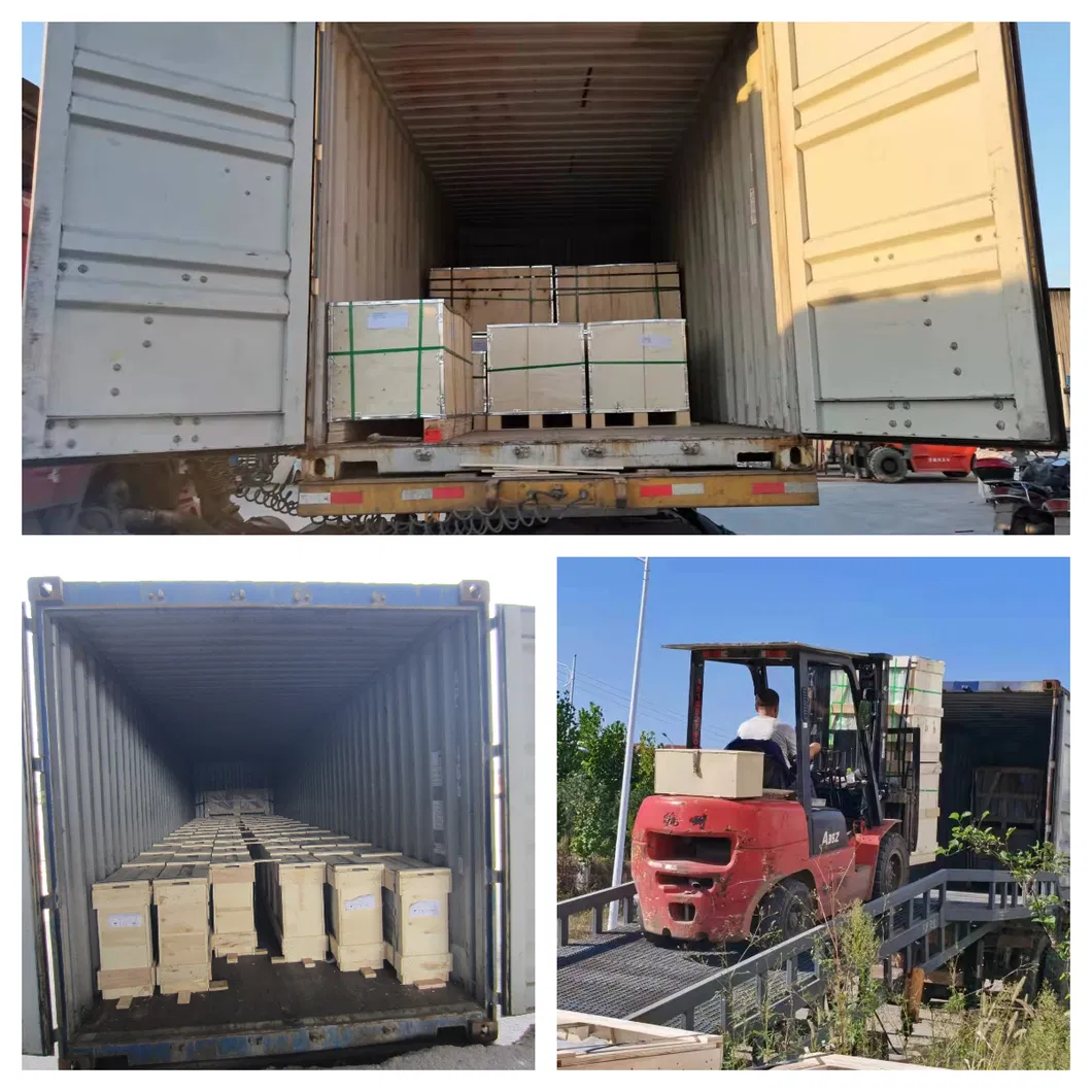 4 mm-19 mm de hierro bajo vidrio templado con temperamento templado con un vidrio templado con temperamento pulido 4 mm-19mm Borde pulido