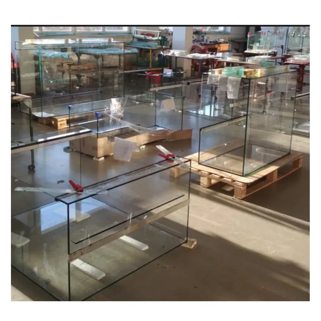 4 mm 6 mm 8 mm 10 mm 12 mm 19 mm de vidrio acuario transparente con borde pulido