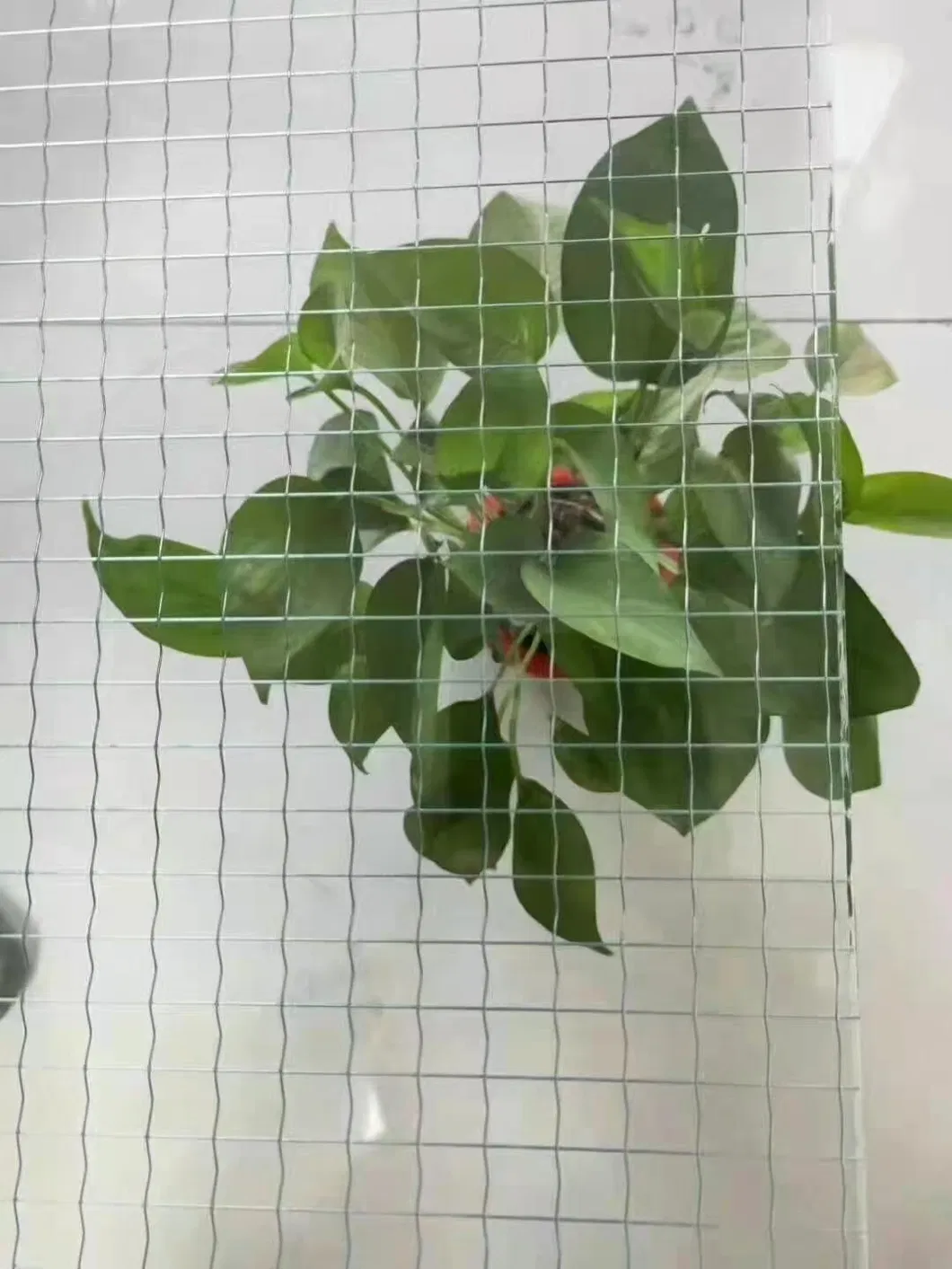 6 mm 7 mm 30 minutos Resistente al vidrio cableado de Nashiji resistente al fuego