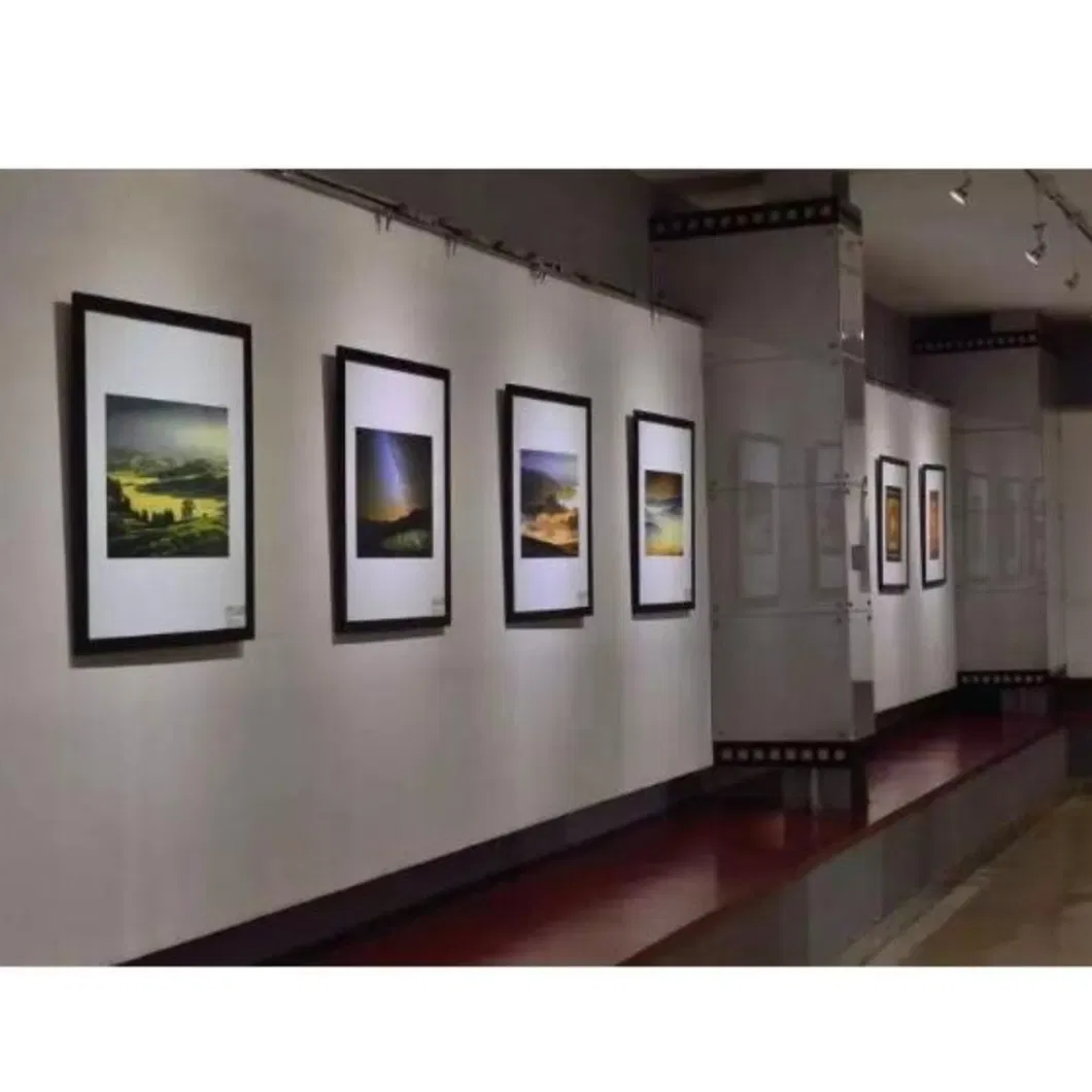 AG de 1 mm-8 mm Glass esbelto de vidrio no reflectante para la galer&iacute;a