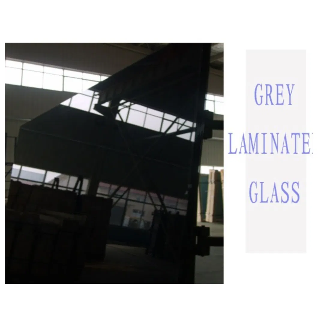 Euro Gray Black Lamined Build Building Glass