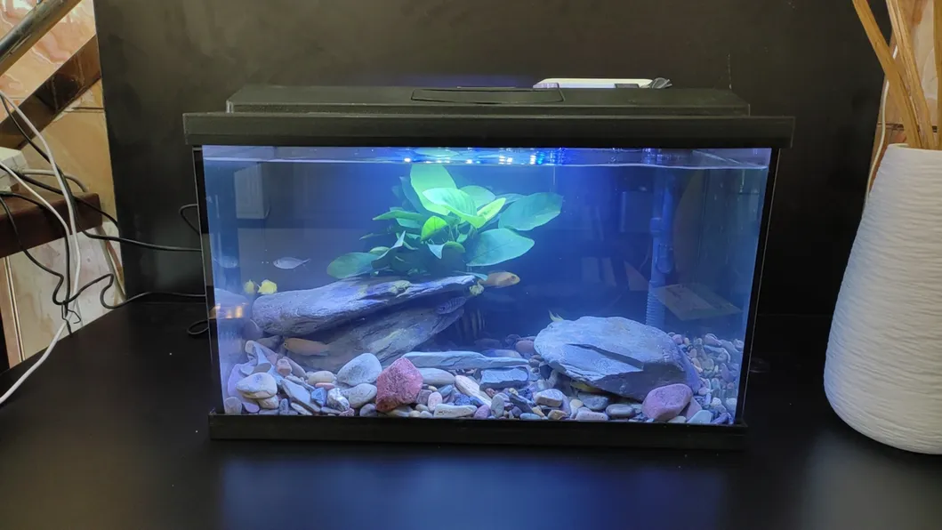 4 mm-12 mm de vidrio de acuario extra transparente con todos los bordes pulidos